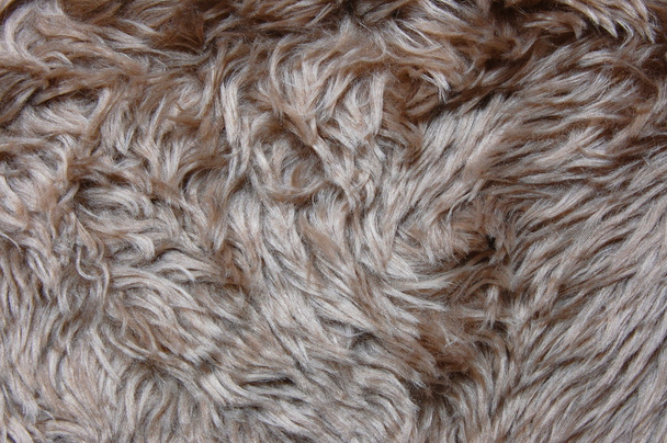 Pelt texture - Photo, Image