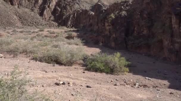 Charyn canyon rivier 112 - Video