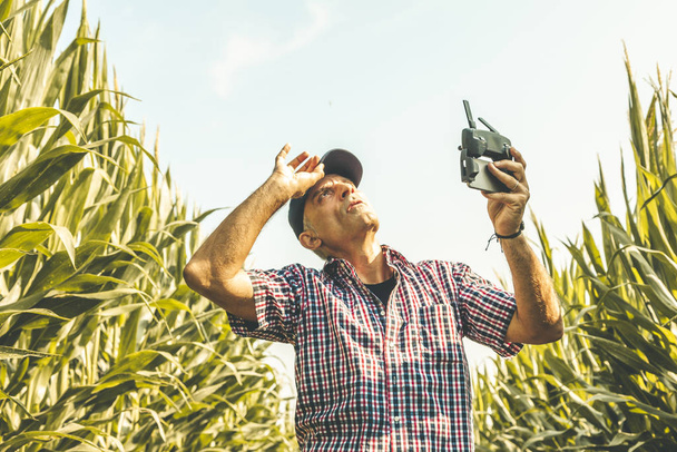 modern technological farmer analyzing the growth of corn by flyi - Foto, Bild
