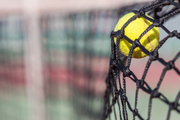Tennis Ball on the Net - Foto, Imagen