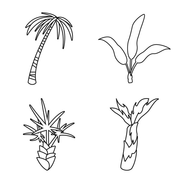 Isolated object of tropical and summer logo. Set of tropical and botanical stock symbol for web. - Vettoriali, immagini