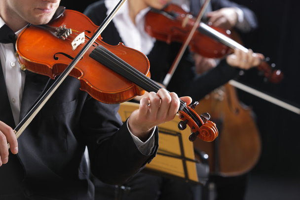 Classical music. Violinists in concert - Fotografie, Obrázek