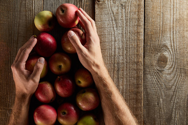 cropped view of man holding apples ow wooden surface  - 写真・画像
