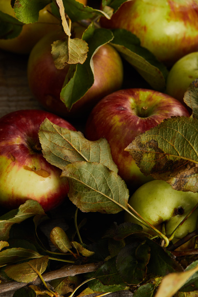 close up view of fresh ripe apples with leaves - Фото, зображення
