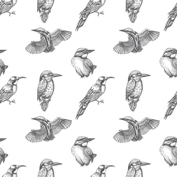 Sketch hand drawn pattern with kingfisher, Blue jay, bee-eater, vector illustration - Vektör, Görsel
