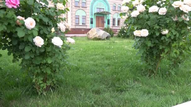 Nouvelle mosquée de Zharkent 126
 - Séquence, vidéo