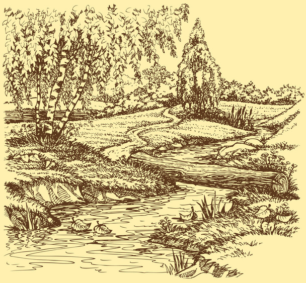 ベクトルの風景です。バーチの木近くに川の上の道 - ベクター画像
