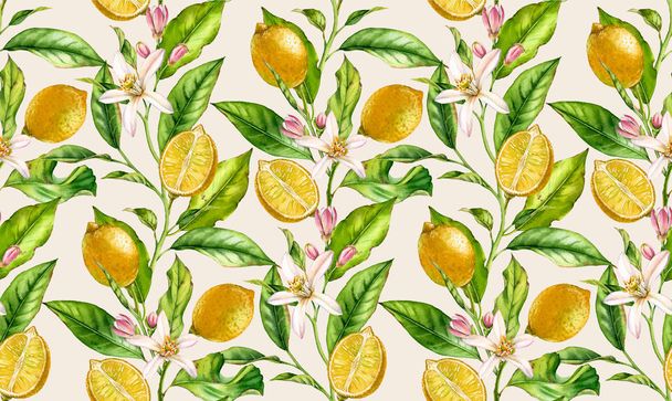 Lemon Branch bezszwowe wzór akwarela drzewo owocowe z kwiatami realistyczne botaniczny kwiatowy powierzchni projekt: cała połowa liści cytrusowych na krem beżowy tło rysowane ręcznie Tapety tekstylne - Zdjęcie, obraz