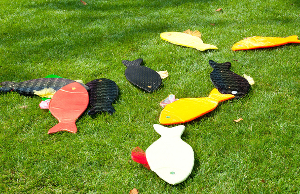 kluk hračky. barevné ryby na trávě - Fotografie, Obrázek