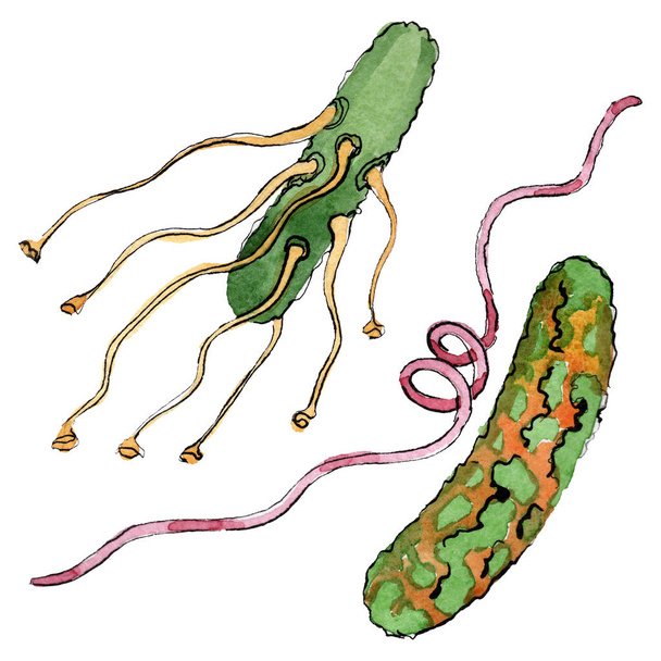 Microbio o germen ahogan la mano ilustración. Conjunto de fondo acuarela. Elemento de ilustración de microorganismos aislados
. - Foto, imagen