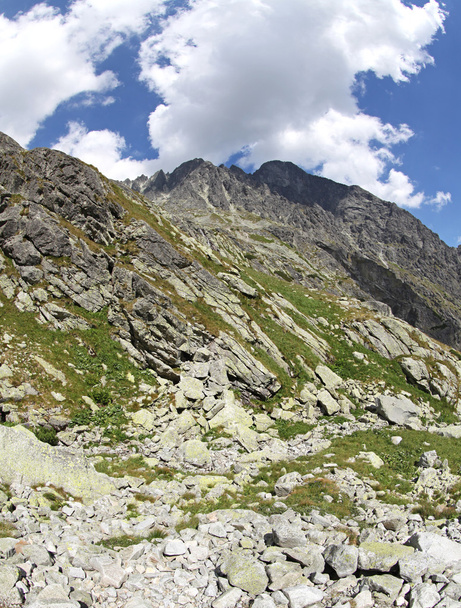 Mala studena dolina - valle en High Tatras, Eslovaquia
 - Foto, imagen