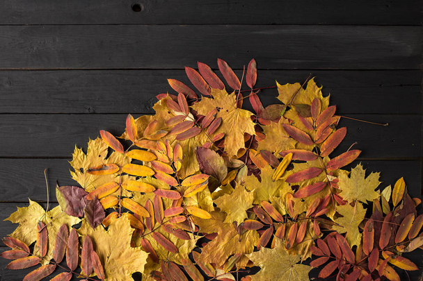 Цветные осенние листья клена на черном деревянном фоне
. - Фото, изображение