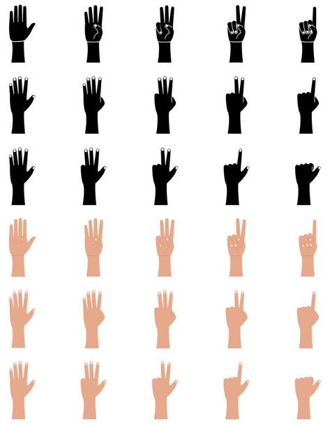 フラットとグリフスタイルで設定された手のジェスチャーアイコン。手のひらと手首1、2、3、4、5本の指、白い背景にベクトルイラストを数える - ベクター画像