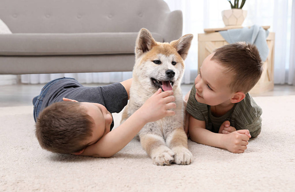 Happy boys with Akita Inu dog on floor in living room. Little friends - Foto, imagen