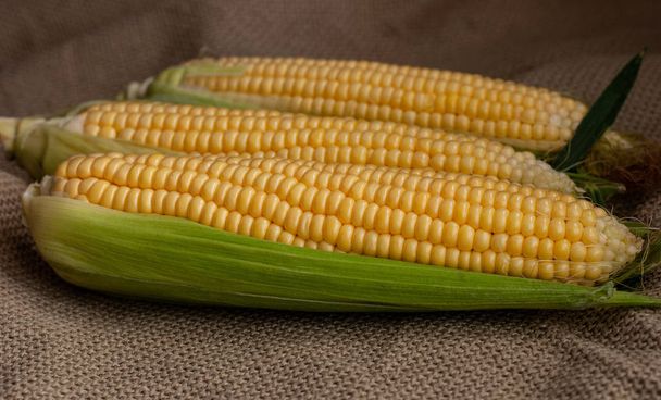 Gele zoete ruwe maïs op een rustieke achtergrond close-up.  - Foto, afbeelding