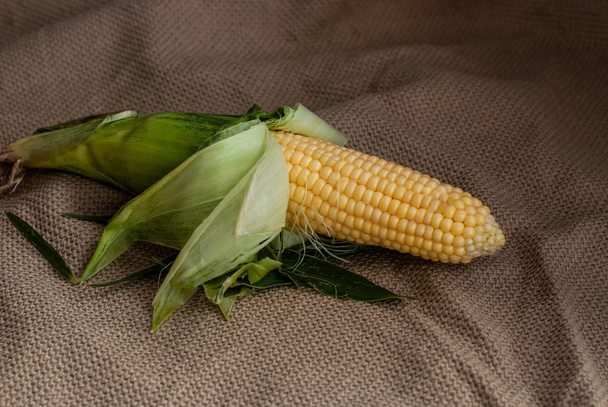 Yellow sweet raw corn is opened from green leaves on a rustic ba - Foto, immagini