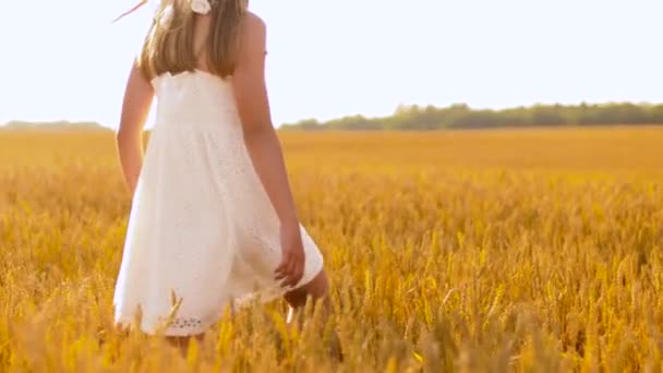 happy girl in straw hat walking along cereal field - 映像、動画