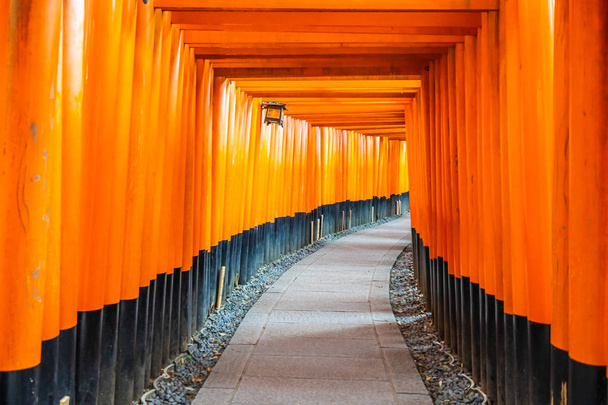 Kaunis fushimi inari temppeli Kiotossa
 - Valokuva, kuva