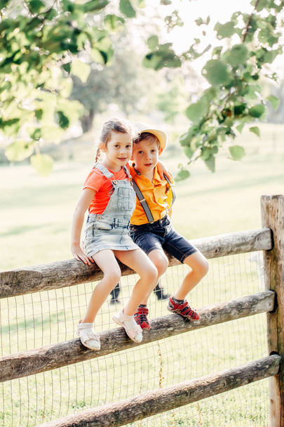 Deux mignons enfants caucasiens drôles garçon fille assis sur la clôture rustique en bois dans le parc à l'extérieur. Amis frères et sœurs enfants embrassant au coucher du soleil d'été dans la campagne. Amour romantique et amitié
. - Photo, image