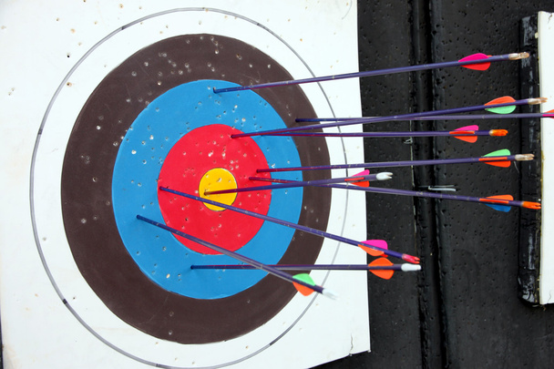 Target archery and Many arrow. - Photo, Image