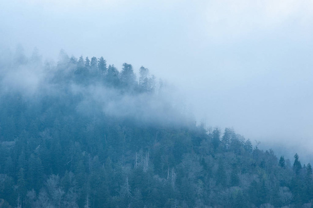 Niebla y humo se eleva desde las colinas al atardecer en el Parque Nacional de las Grandes Montañas Humeantes, Townsend, TN
 - Foto, Imagen
