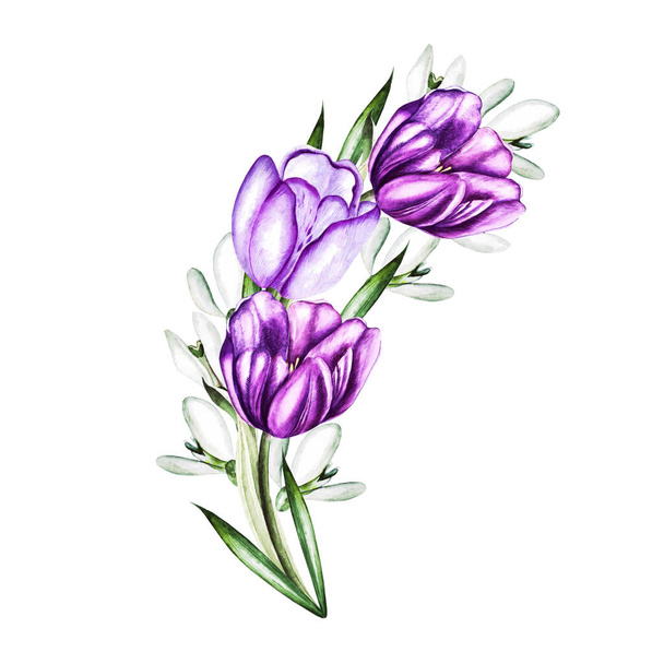 Bouquet acquerello con tulipano e peonia
.  - Foto, immagini