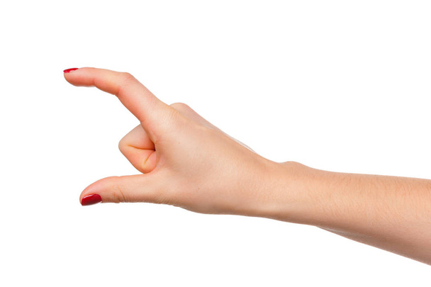 weibliche gepflegte Hand misst unsichtbare Gegenstände, Handfläche macht Geste - Foto, Bild