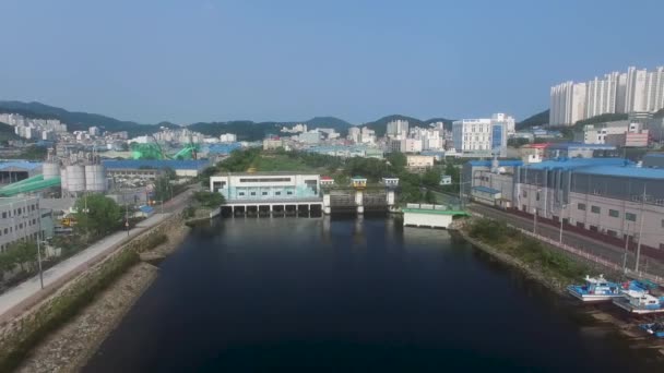 Luftaufnahme von bunezia janglim port janglimpogu, sahagu, busan, Südkorea, Asien. - Filmmaterial, Video