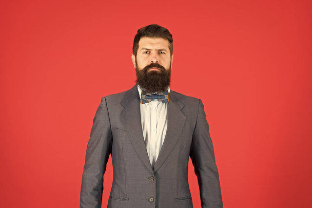 Fashion concept. Businessman or host fashionable outfit red background. Formal outfit. Confident posture. Man bearded hipster wear classic suit outfit. Take good care of suit. Elegancy and male style - Foto, Imagen