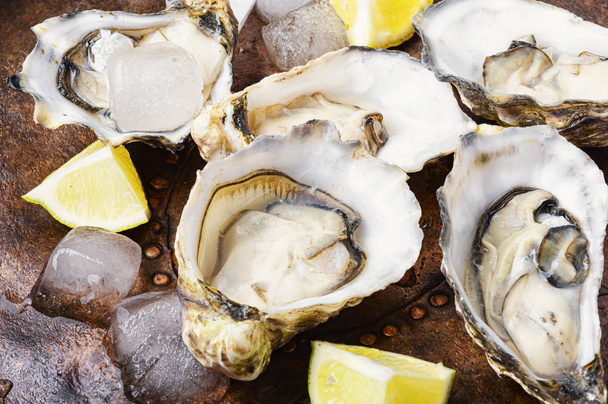 Opened oysters on metal background - Foto, imagen