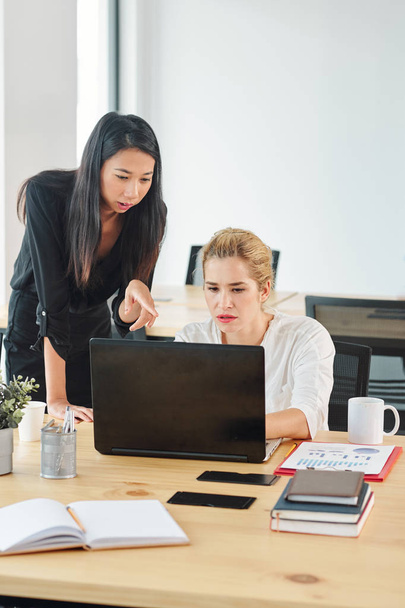 Twee jonge zakenvrouwen die een laptop gebruiken tijdens het werk op de werkplek op kantoor  - Foto, afbeelding