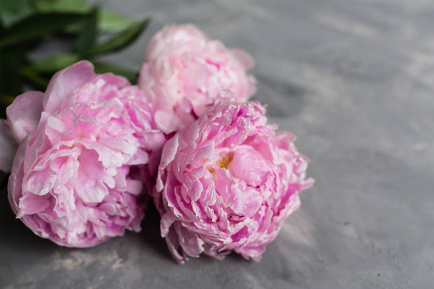 Beautiful pink peony flowers on gray concrete background. Happy mothers day greeting card mockup. International Woman, Teacher Day. Valentines day template - Foto, afbeelding