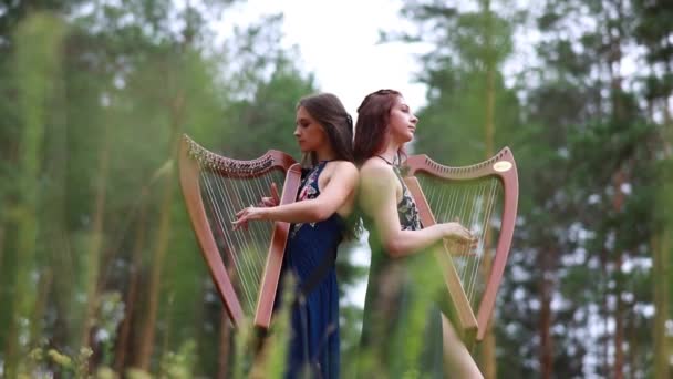 Duas mulheres harpista ficar na floresta e tocar harpas em belos vestidos contra um fundo de pinheiros
. - Filmagem, Vídeo