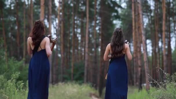 Две женщины-арфистки уходят по лесной дороге и играют на арфах в красивых платьях на фоне сосен
. - Кадры, видео