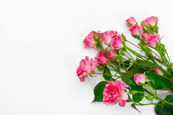 Little pink roses on white table. Gentle romantic background. Floral background - Foto, immagini
