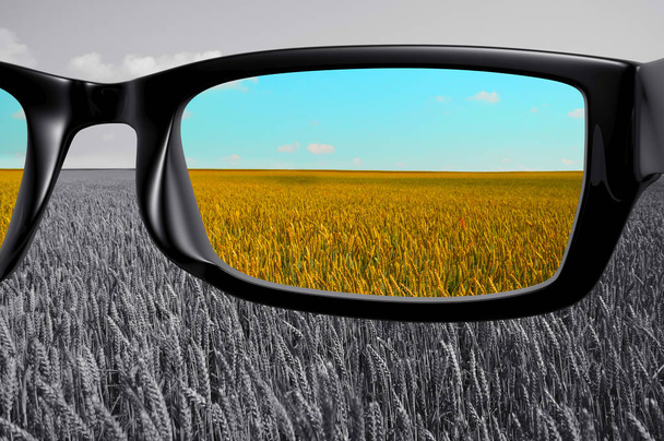 View through glasses field in color - Photo, Image