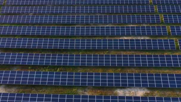 Vista aérea del campo de paneles solares
. - Imágenes, Vídeo