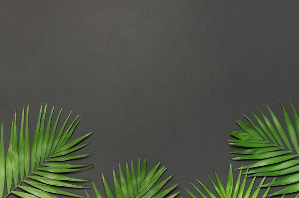 Tvůrčí minimální zázemí s tropickými listy. Tropické palmové listy na šedém černém pozadí. Plochý, pohled shora, kopírovat prostor. Letní zázemí, příroda. Vzorek listu - Fotografie, Obrázek