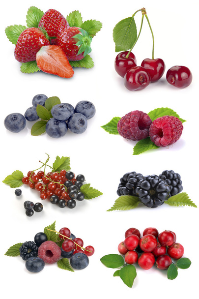 set of berries - Foto, Imagem