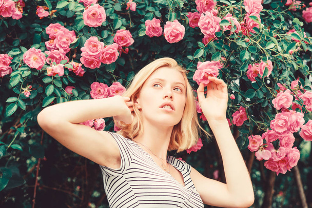 Girl adorable blonde sniffing fragrance of pink bloom. Spring and summer. Perfume and cosmetics. Woman in front of blooming roses bush. Blossom of wild roses. Secret garden concept. Aroma of roses - Foto, Bild