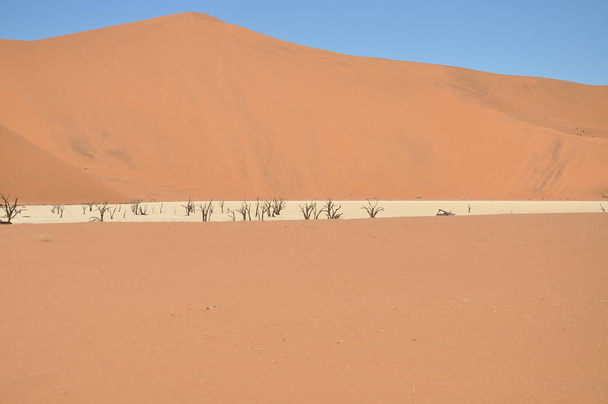 View of Deadvlei in Sossusvlei, Namibia - Foto, Bild