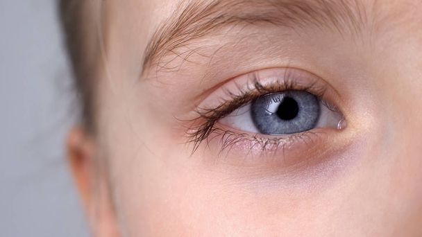 Child with blue eyes looking into camera, vision check, ophthalmology close-up - Fotó, kép