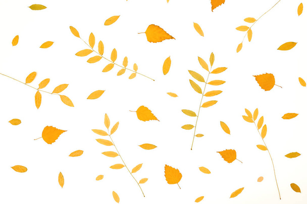 Herbstmuster mit Herbstblättern auf weißem Hintergrund. flache Lage - Foto, Bild