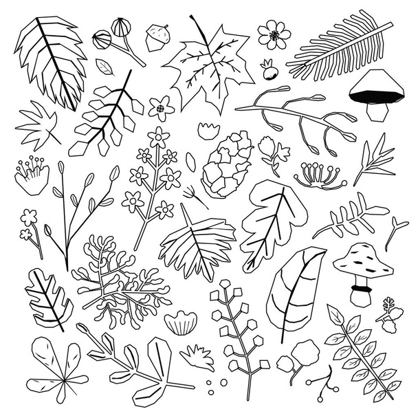 Floral clipart. Outline hand drawn leaves and flowers illustrations. Wedding invitation, greeting card, holiday poster, articles design idea - Vektori, kuva