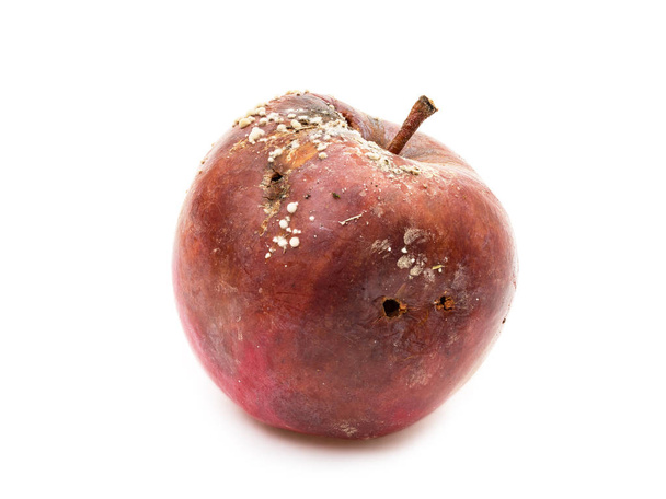 fauler Apfel mit Pilz - Foto, Bild