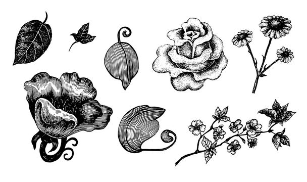 Collection of hand drawn ink flowers and leaves - Вектор, зображення