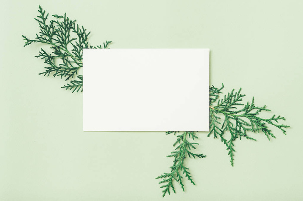 cartão festivo papel branco fundo de hortelã
 - Foto, Imagem
