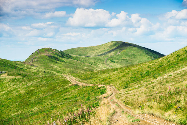 Karpatské kopce ukrajinská příroda - Fotografie, Obrázek