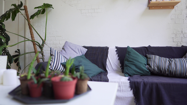 Rentoutumisalue huoneistossa, jossa on kaunis pehmeä sohva ja sohvapöytä, jossa on kotikasveja
 - Materiaali, video