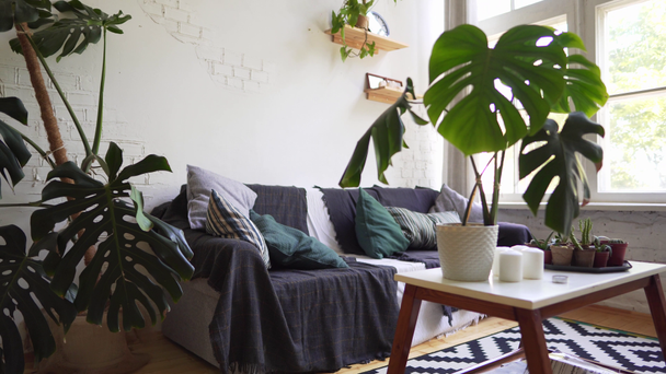 Acogedor sofá en un interior escandinavo, concepto hygge
 - Imágenes, Vídeo